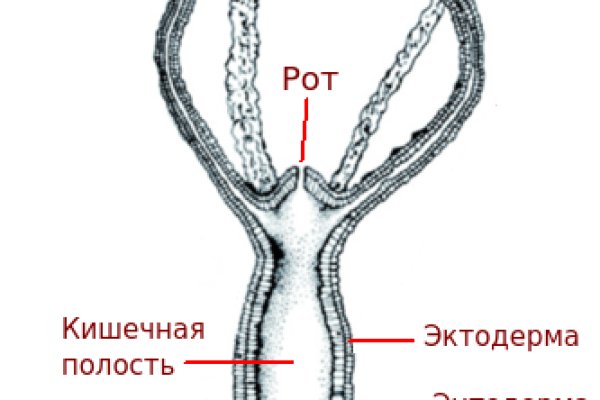 Kraken актуальный сайт