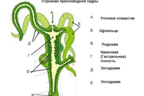 Зайти на кракен рабочее зеркало